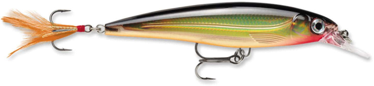 Rapala X-Rap XR-10 Suspending Jerkbait Lure (4", 7/16oz, Assorted Colors)