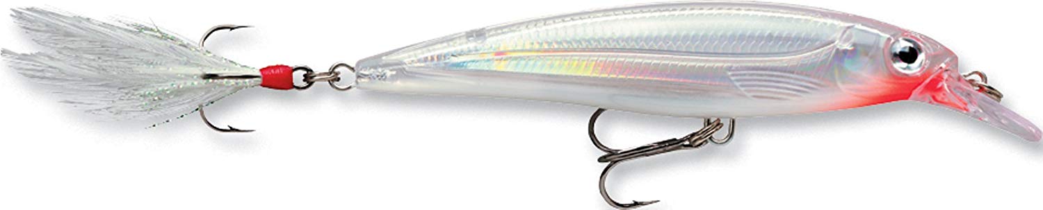 Rapala X-Rap XR-10 Suspending Jerkbait Lure (4", 7/16oz, Assorted Colors)