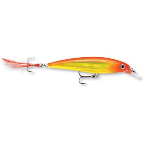 Rapala X-Rap XR-10 Suspending Jerkbait Lure (4", 7/16oz, Assorted Colors)