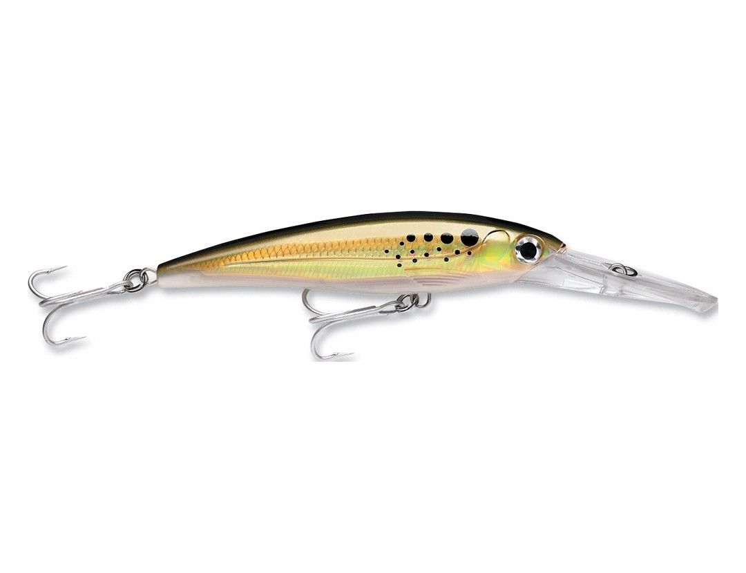 Rapala X-Rap Magnum 40' Divebait