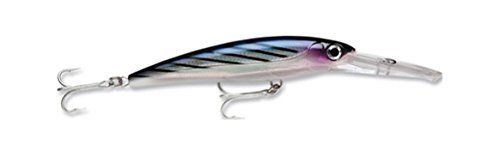 Rapala X-Rap Magnum 40' Divebait