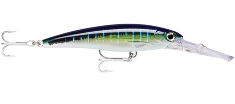 Rapala X-Rap Magnum 40' Divebait