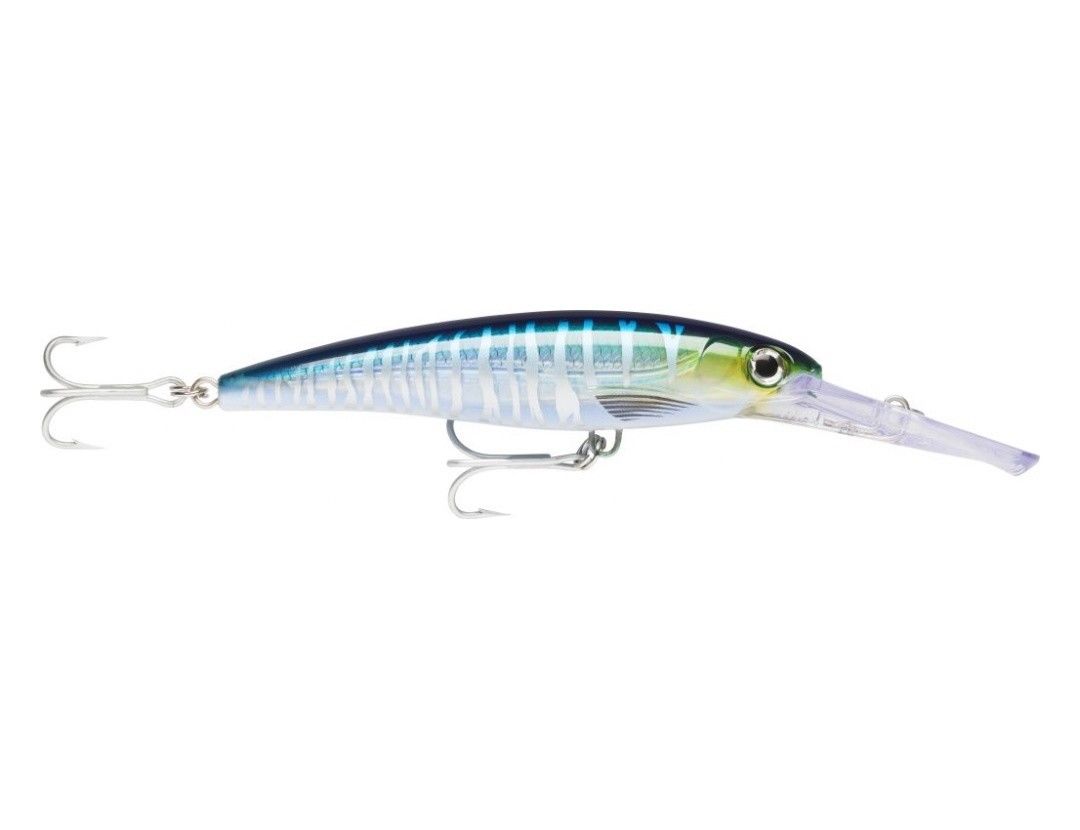 Rapala X-Rap Magnum 40' Divebait