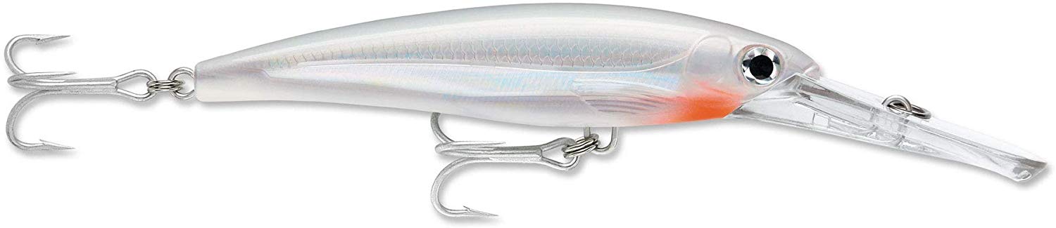 Rapala X-Rap Magnum 40' Divebait